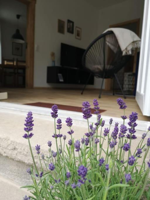 Ferienwohnung Zur Parthe Grimma Exterior foto
